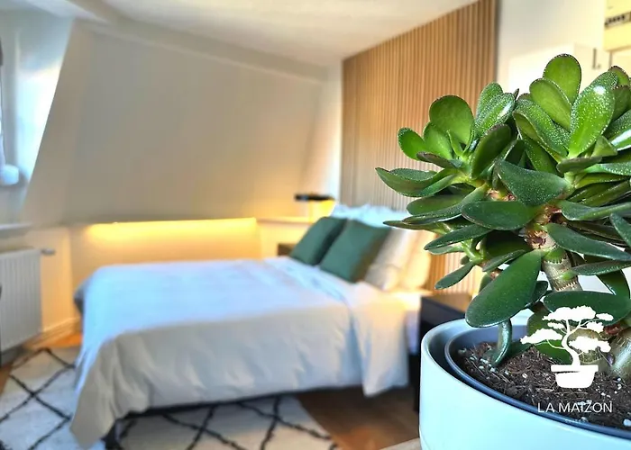 Suite Dernier Etage Saint-Maur